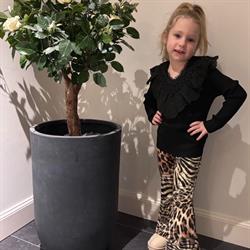 Stoere poppies