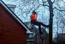 Boom Snoeien - 1