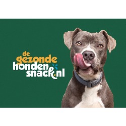degezondehondensnack.nl