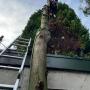 Betreffende boom kon niet vrij vallen, aangezien deze tegen een garage aanstond. De boom is voorzichtig afgebroken, waardoor er geen schade is aan de garage.