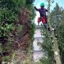 Afbreken Hulst