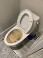 wc verstopt amsterdam