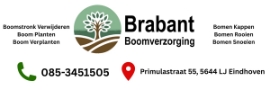 Brabant Boomverzorging 1
