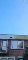 Groene aanslag verwijderen