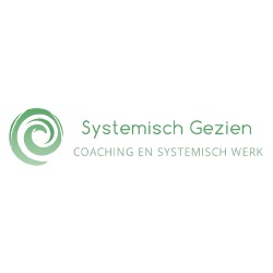 Systemisch Gezien