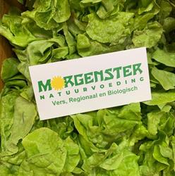 natuurvoedingswinkel morgenster