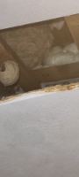 Nest in plafond slaapkamer