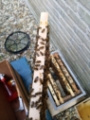 Bijen 6 ramer