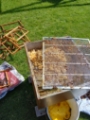 Bijenwas smelten