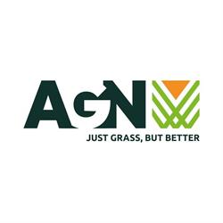 AGN Grass