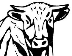 Biologische boerderijwinkel Arkema