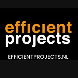 Efficient Projects