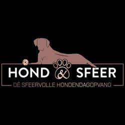Hond & Sfeer
