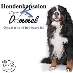 Hondenkapsalon Dommel