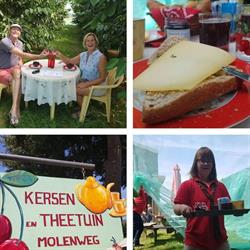 Kersen & Theetuin Molenweg