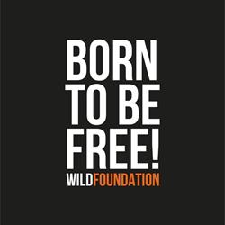 Stichting WILD Foundation