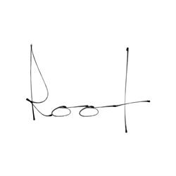 Root Gallery