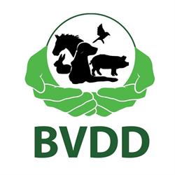 Stichting Blijdschap Voor De Dieren - BVDD