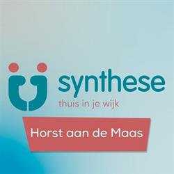 Synthese Horst