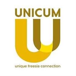 Unicum Freesia
