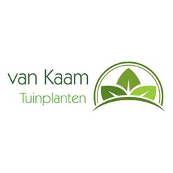 Van Kaam Tuinplanten B.V.