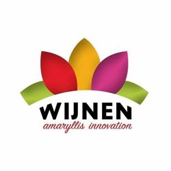 Wijnen Amaryllis Innovation