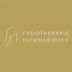 Fysiotherapie Dommerholt