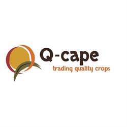 Q-cape B.V.