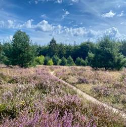 MTB Route Gieten - Gasselte start