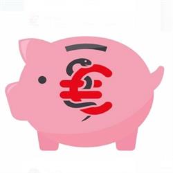 Fexx Budgetbeheer