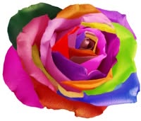Roca Rosa