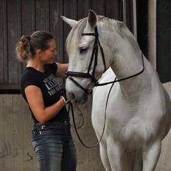 Equisabella Coaching