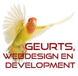 Geurts, Webdesign en Development