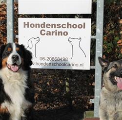 Hondenschool Carino