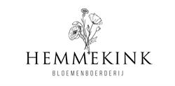 Bloemenboerderij, Theetuin & Pluktuin Hemmekink