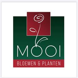Mooi bloemen en planten Gorinchem