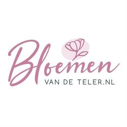 Pippel Lisianthus
