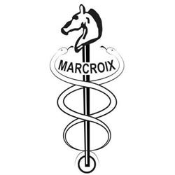 Rotterdamsche Studenten Rijvereeniging "Marcroix"