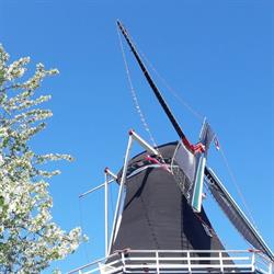 Korenmolen De Hoop