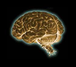 BrainSense. Gebruik je brein, leer slimmer