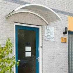 Boggie Veterinaire Acupunctuur