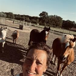 Roskam Coaching met paarden