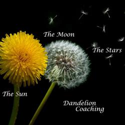Dandelion coaching (HBspot Hoogkarspel)