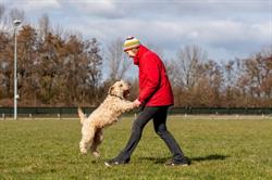 Duco Hondenschool en Gedragstherapie