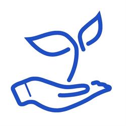Mindful-Zijn