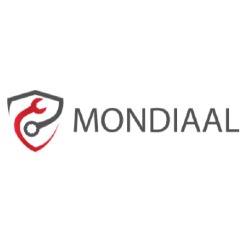 mondiaal autobedrijf