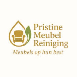 PristineMeubel Reiniging