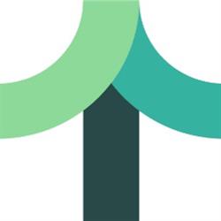 Tree Online - Internet marketing bureau