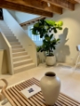 Interieurbeplanting