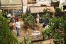 Plantenmarkt